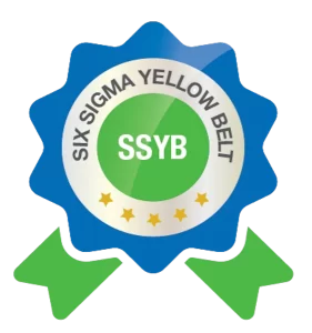 SSYB, Six Sigma Yellow Belt